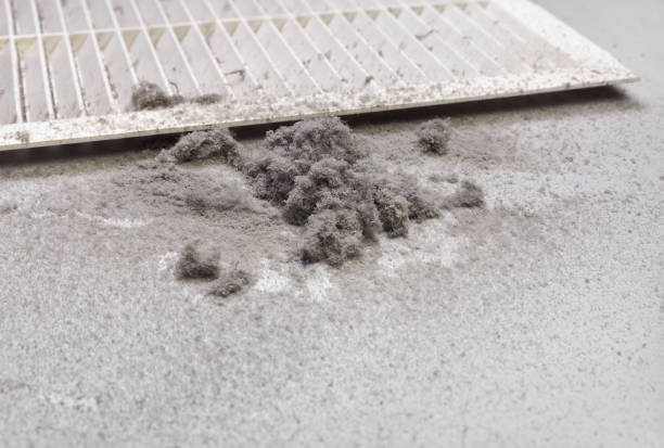 Best Ventilation Cleaning Services  in Omao, HI