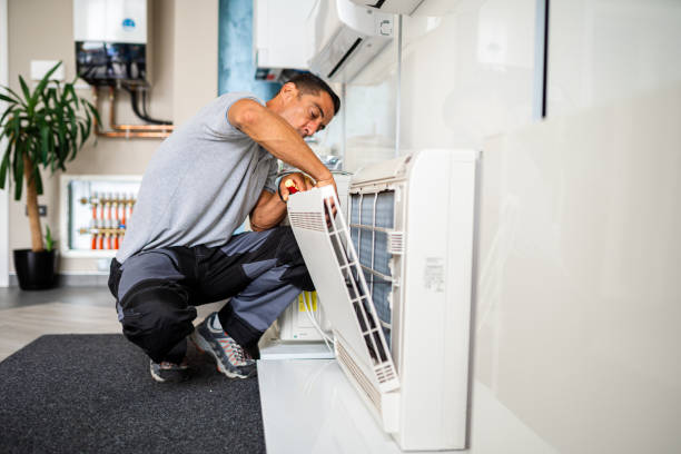 Best Residential Air Duct Cleaning  in Omao, HI