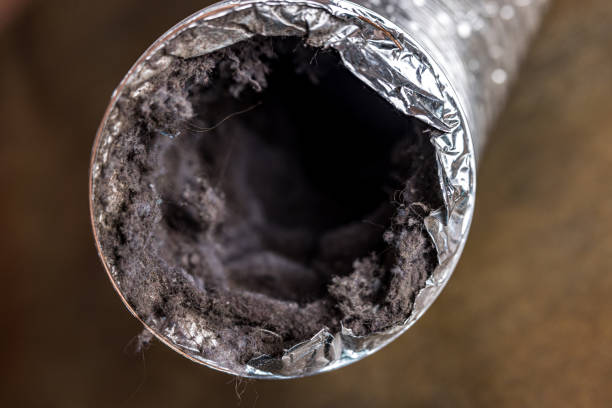 Best Commercial Air Duct Cleaning  in Omao, HI