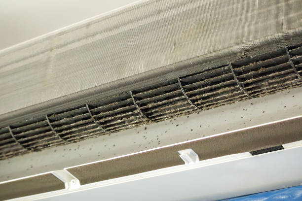 Reliable Omao, HI Airduct Cleaning Solutions