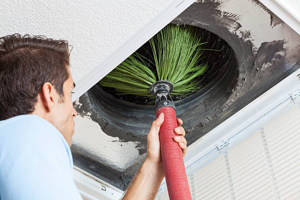 Best Emergency Air Duct Cleaning  in Omao, HI