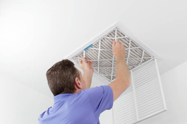 Best Air Duct Cleaning Near Me  in Omao, HI